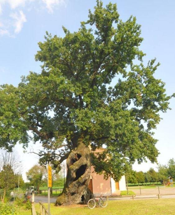placehold