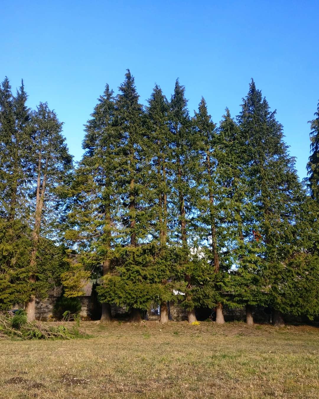 placehold