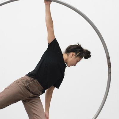 Leonardo all'inCirca