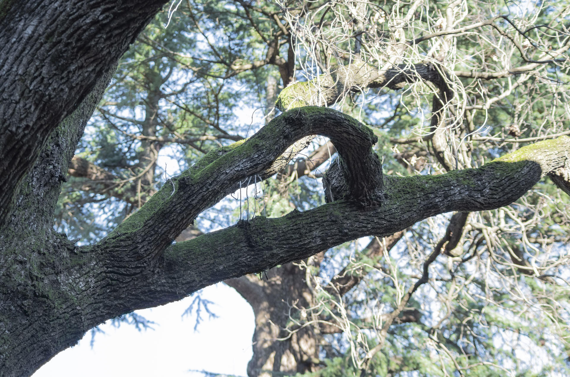 placehold