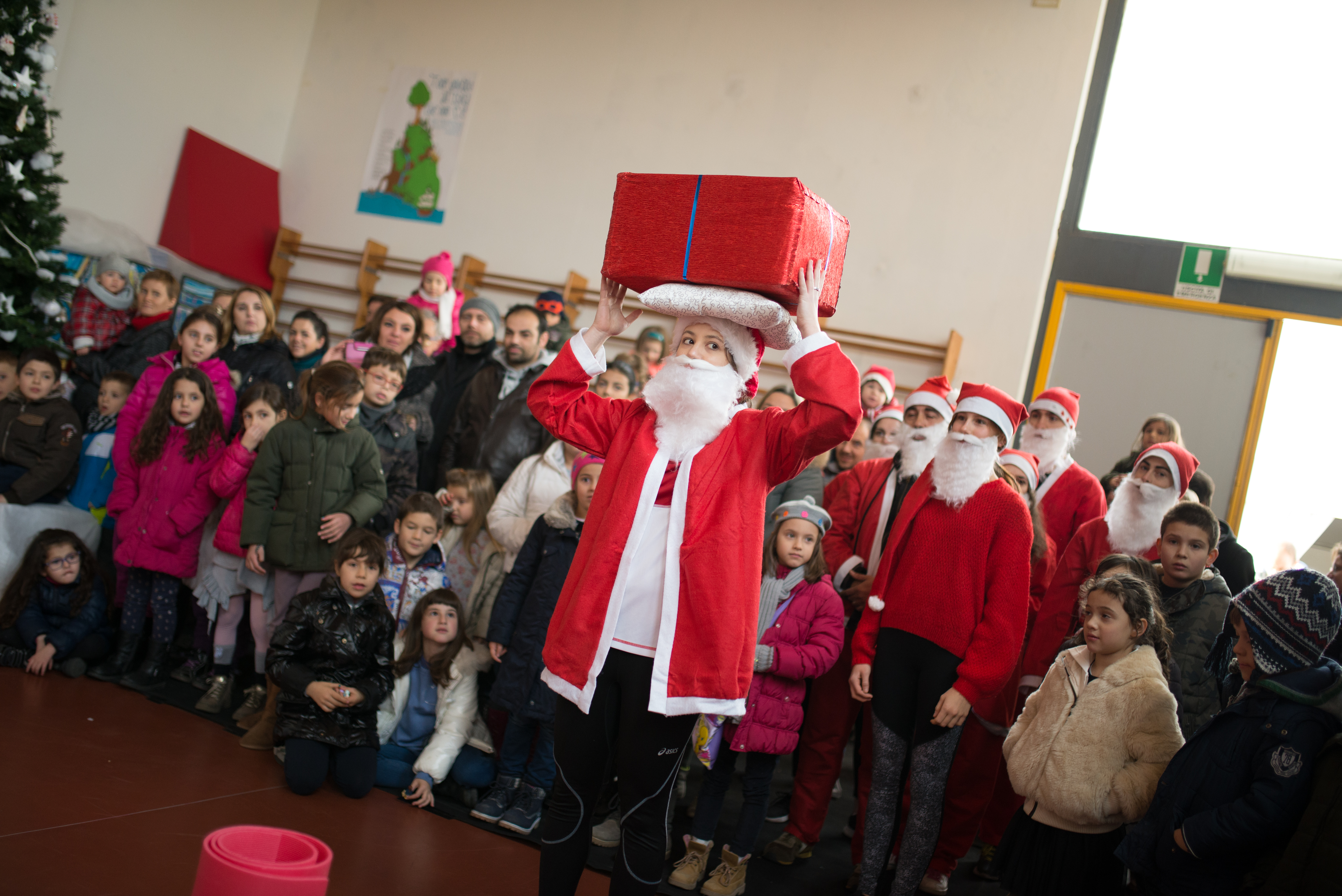 Un messaggio di Natale dal presidente del Circo all'inCirca