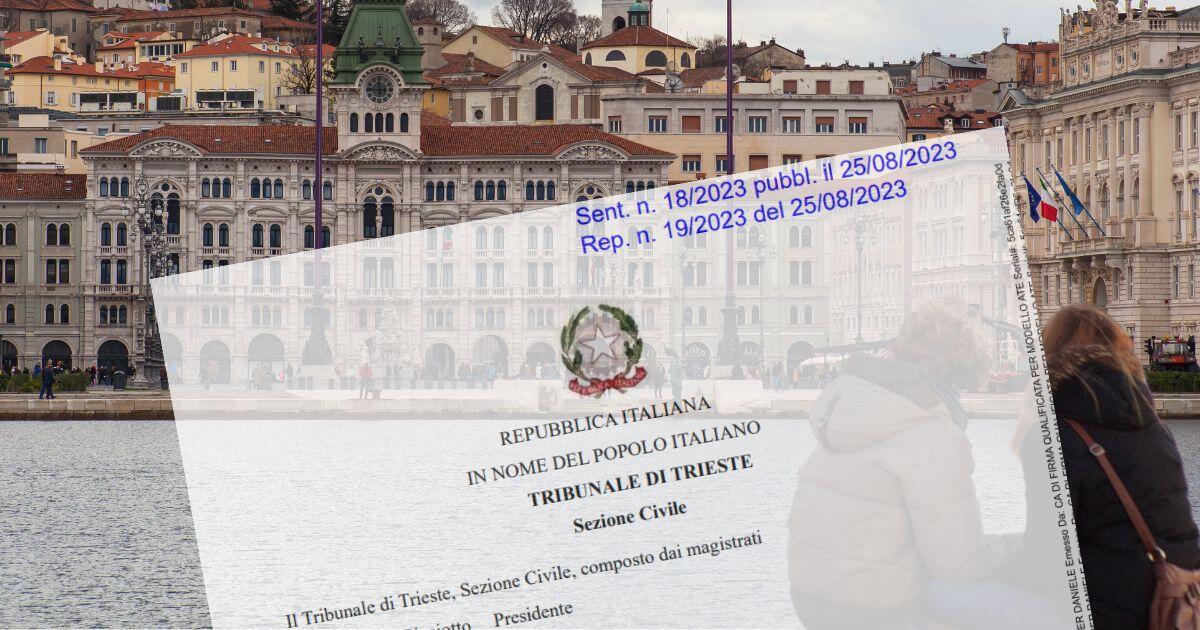 geekvape aegis solo 3 istruzioni Liquidazione del patrimonio: cos'è e come ottenerla main image 0